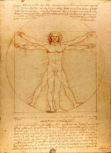 vitruvian-man-by-leonardo-da-vinci-8464.jpg